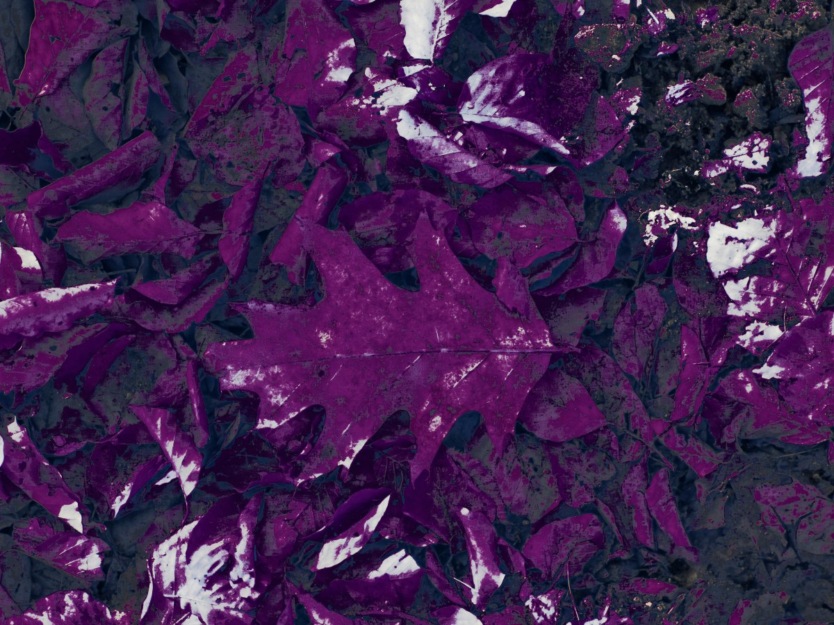 Against clichés and purple&nbsp;prose