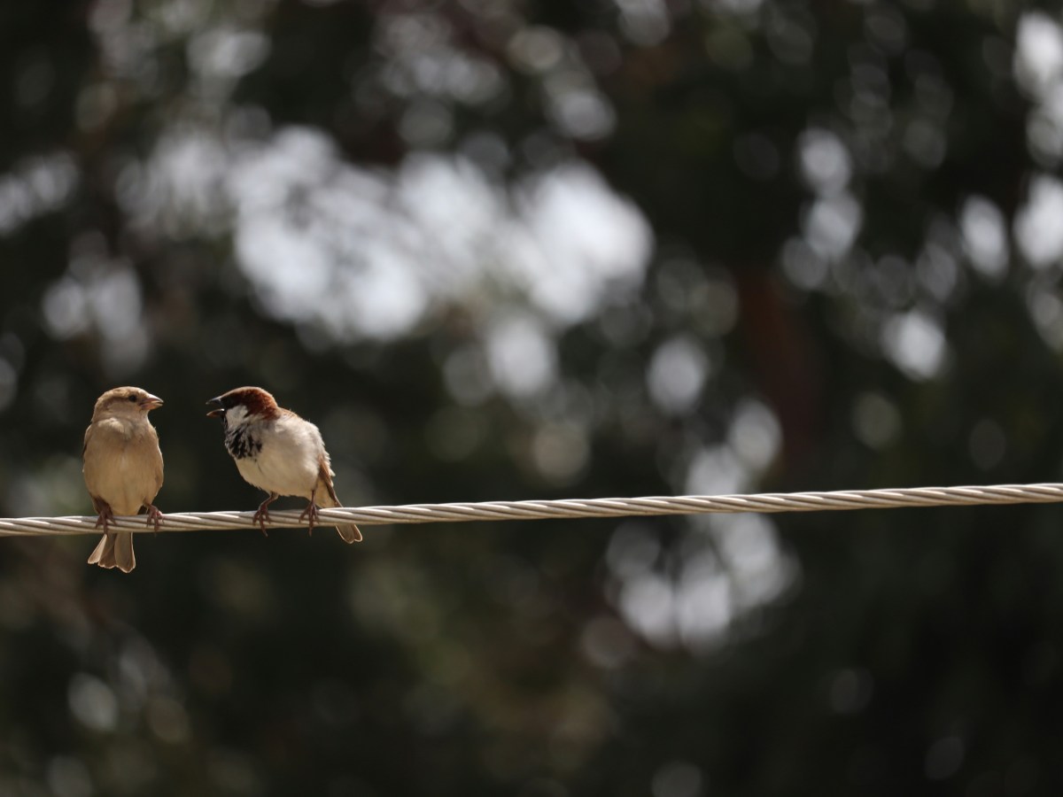 Write Natural Dialogue