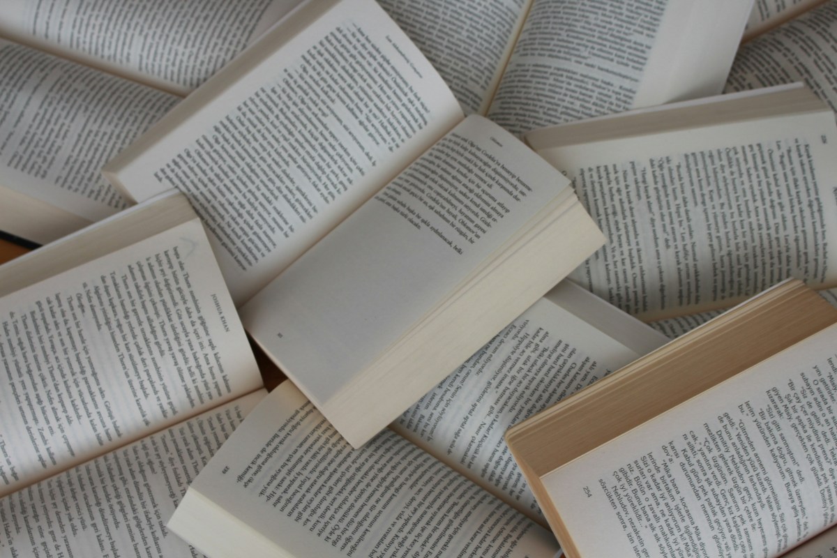 The first 500&nbsp;words